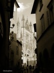 Viraggio Seppia della mia Citt