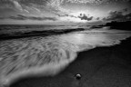 wave