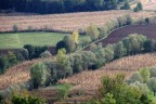 Colli Berici