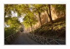 Scatto: iso 200,1/125, f5.0, focale 16mm.