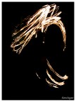 Fire Silouette