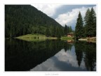 Il piccolo Lago dei Caprioli in localit Fazzon (Trentino)
Graditi i vs commenti