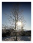 Soli nella neve
