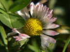 Olympus E500
