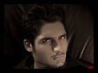 Twilight