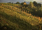 Terra d'Ottobre