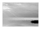 pescatore
