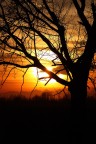 Al calar del Sole