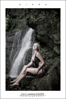 :: DIANA... [01-01]