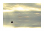 la quiete dopo la tempesta