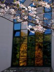 Primavera d'autunno