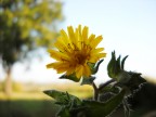 TEST nikon L19