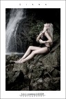 :: DIANA... [01-02]