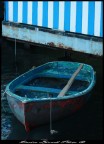 Canon Eos D450 55-250 f 4/5.6