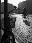 Bicycles Bicycles
