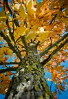 autunno