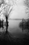 riflessi