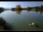 A passeggio...