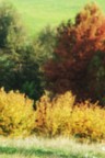 Colori 30 10 09