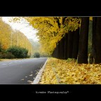 Sentori d'Autunno