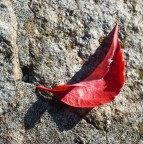 Autunno