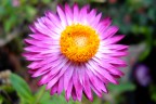 TEST nikon L19