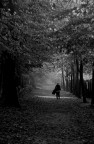 ...autumn... ...autumn...