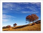 Autunno Autunno