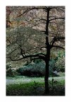 Autunno n4