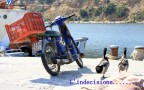 l'indecisione....