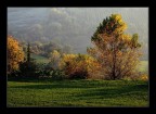Luce d'Ottobre