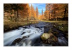 Correnti d'autunno
