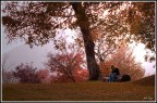 rapita dall'autunno