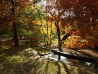 Colori d'Autunno