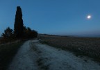 Moonlight