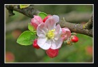 Rieccomi in macro..