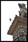 dopo una chiusura topic fuoriluogo...eccola di nuovo
