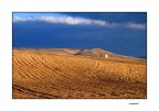 ...MY SWEET LAND...