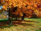 autunno