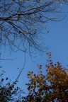 baciate dal sole