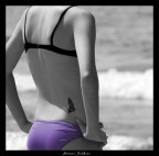 farfalla tatoo