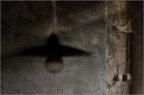 st