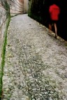 Podista serale