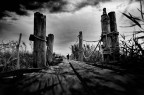 BW?  !Over the bridge!