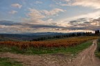 Panorama Toscano