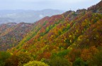 Passo Sambuca, colori d'autunno