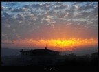 alba
