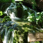 La natura  vita
