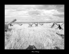 Canon Digital Ixus 600.
Regolazioni con Lightroom.

Scattata in Normandia presso uno dei luoghi dello sbarco (Utah Beach).

Ho giocato con la mia ombra che sembra quella di un soldato munito di elmetto che osserva l'orizzonte col binocolo.

L'erba cresciuta tra le barriere anticarro ci riporta ai giorni nostri nei quali purtroppo la guerra fa ormai parte del quotidiano.

Come sempre i vosti commenti/suggerimenti sono ben accetti.