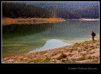 Lago Pal
Valmalenco (SO)

Canon EOS 40D
Sigma 10-20 f4-5,6 EX DC HSM
